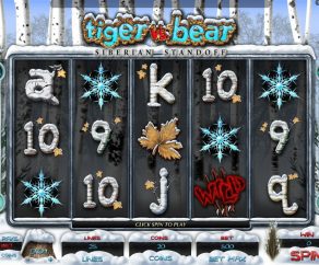Automat Tiger Vs. Bear Online Zdarma 