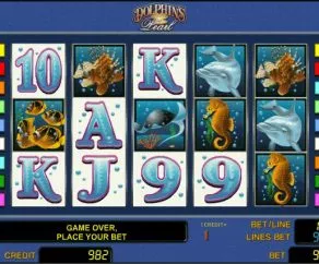 Automat Dolphins Pearl Online Zdarma