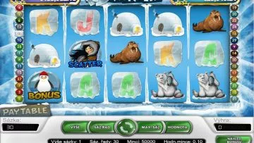 Icy_wonders