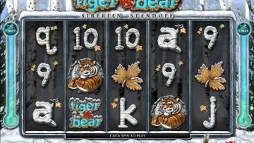 Tiger_vs_Bear_7