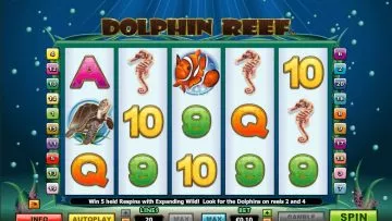 Dolphin_Reef_7