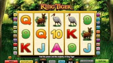 King_Tiger_7