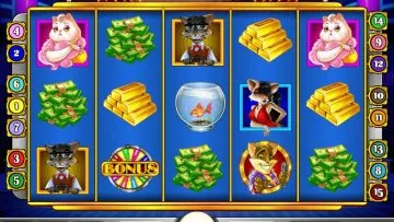 Cats_and_Cash_7