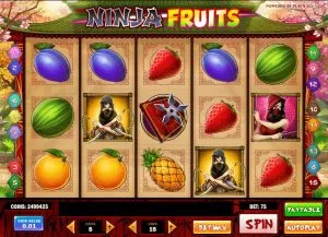 Výherní Automat Ninja Fruits Online Zdarma