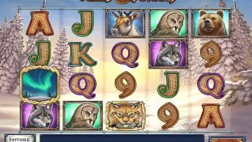Wild_North_7