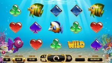 Golden_Fish_Tank_7