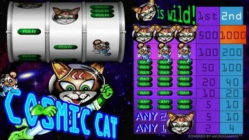 cosmic_cat_02