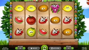 Crazy_Starter_2
