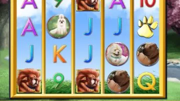 A_Bark_in_the_Park_2