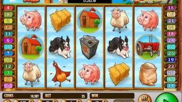 Barnstormer_Bucks_2