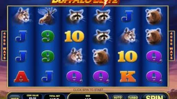 Buffalo_Blitz_2