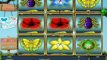 Butterfly_Classic_2