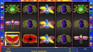 Butterfly_Hot_20_2