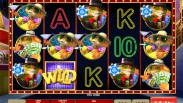 Cat_in_Vegas_2