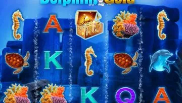 Dolphins_Gold_2