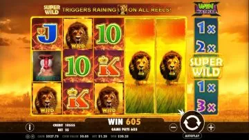 Hot_Safari_2