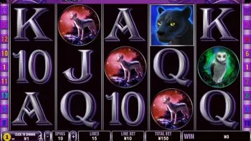 Panther_Moon_2