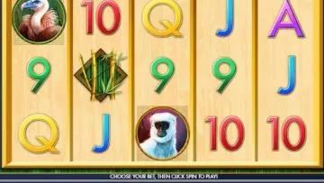 Red_Panda_Paradise_2