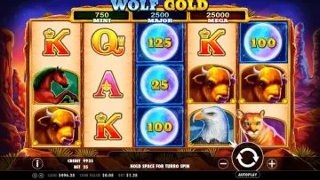 Wolf_Gold_2